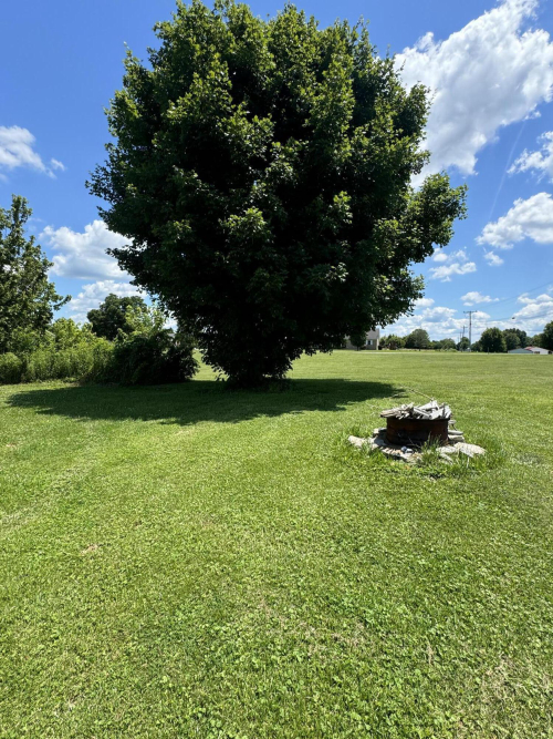 Listing Image 34