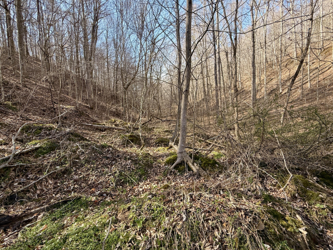 Listing Image 36