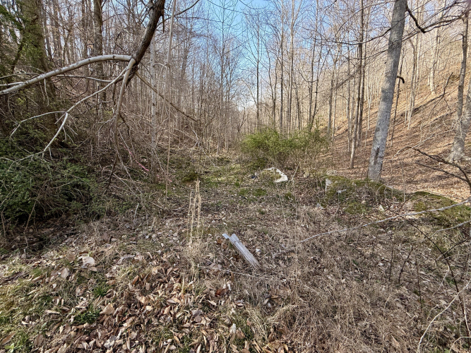 Listing Image 39