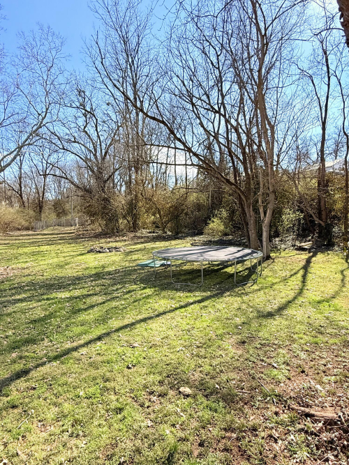 Listing Image 8