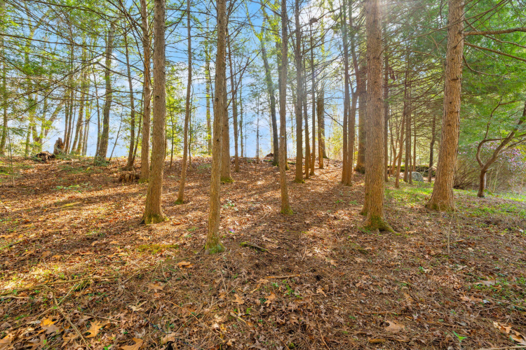 Listing Image 157