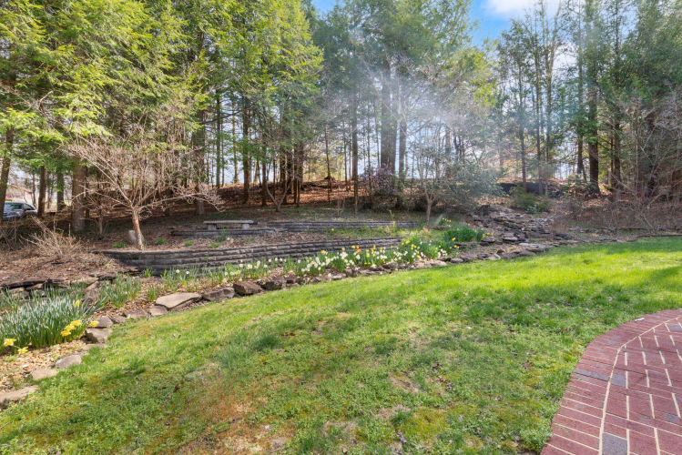 Listing Image 159