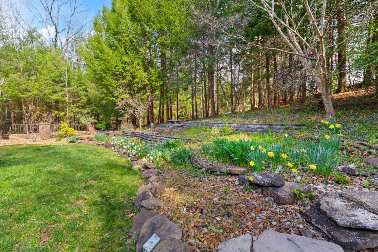 Listing Image 161
