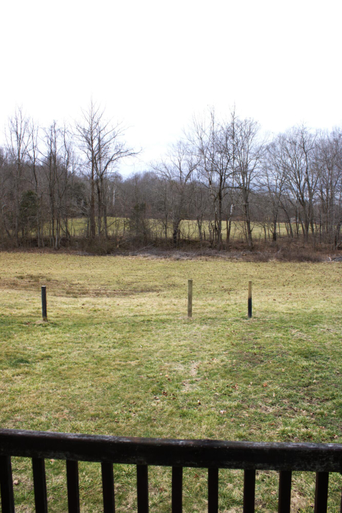 Listing Image 28