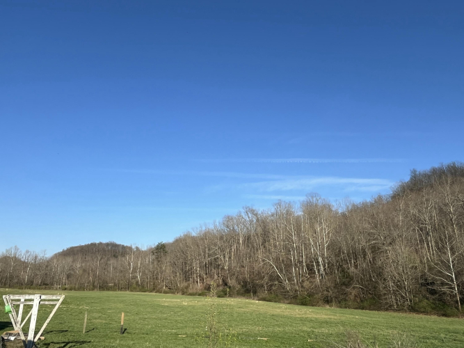 Listing Image 52