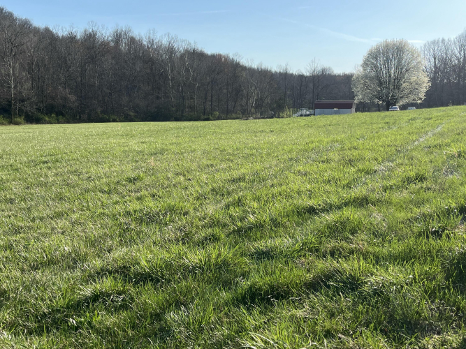 Listing Image 60