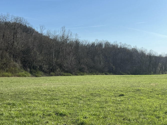 Listing Image 61