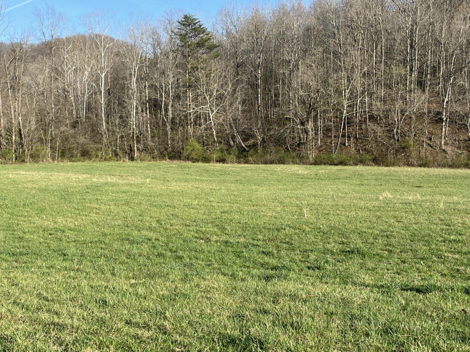 Listing Image 62