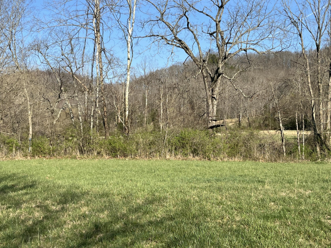 Listing Image 64