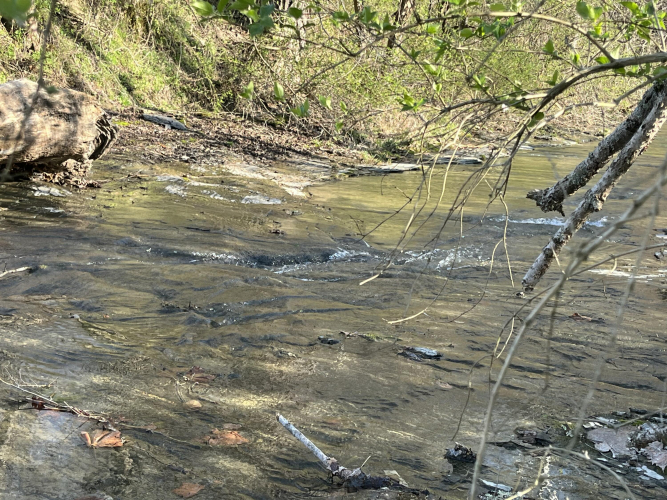 Listing Image 67