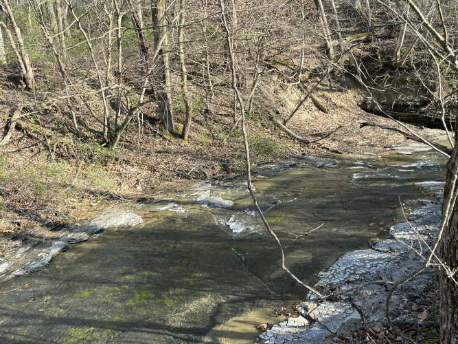 Listing Image 69