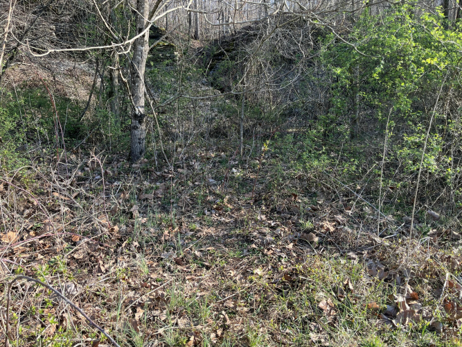 Listing Image 70