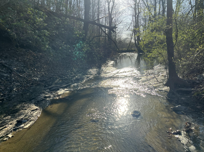 Listing Image 72