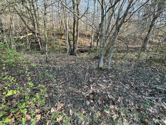 Listing Image 73