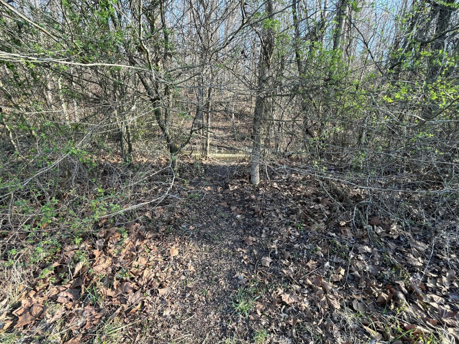 Listing Image 74