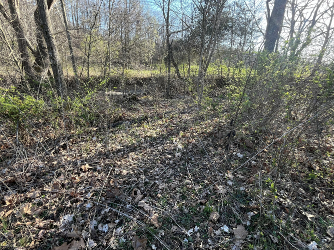 Listing Image 75