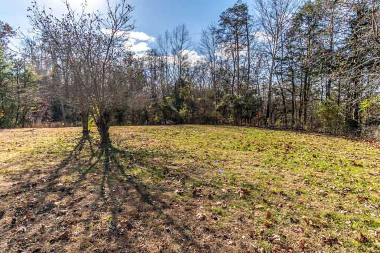 Listing Image 45