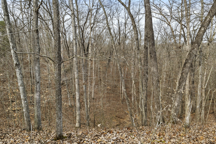 Listing Image 18