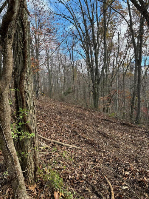 Listing Image 18