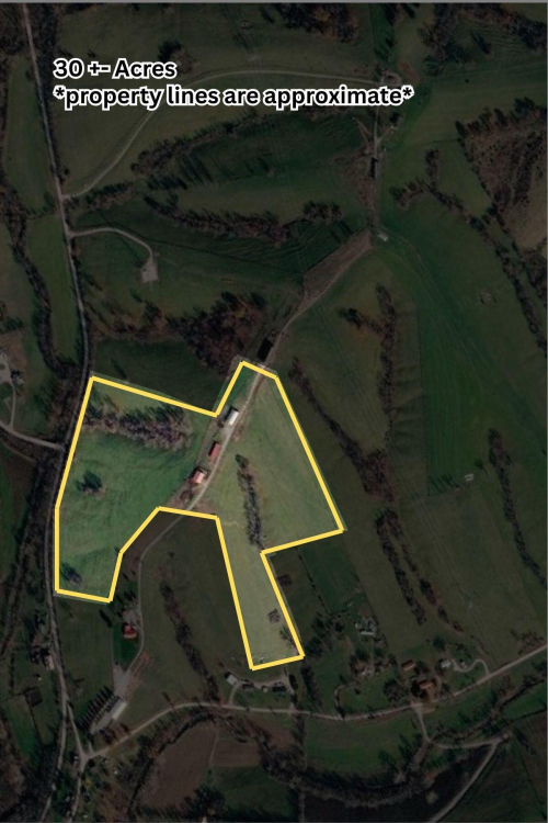 Listing Image 10
