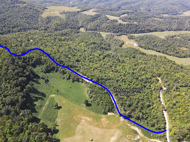 Listing Image 5