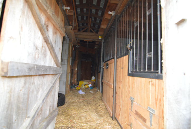 Listing Image 28