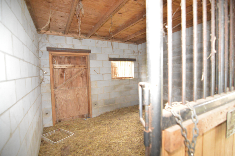 Listing Image 30