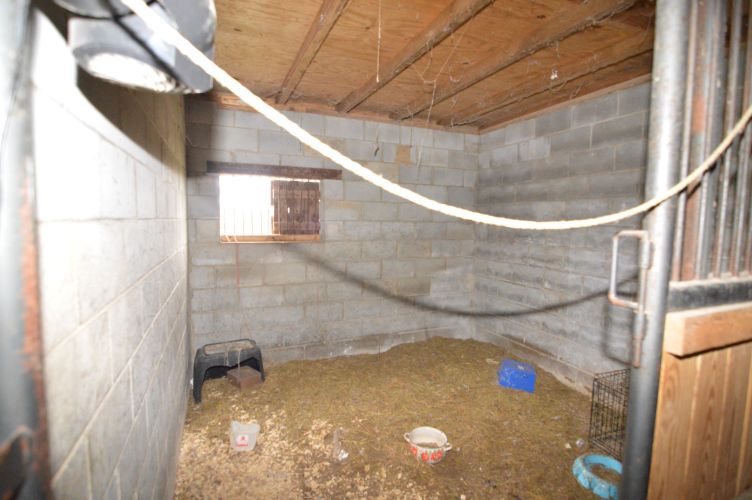 Listing Image 31