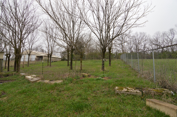 Listing Image 33
