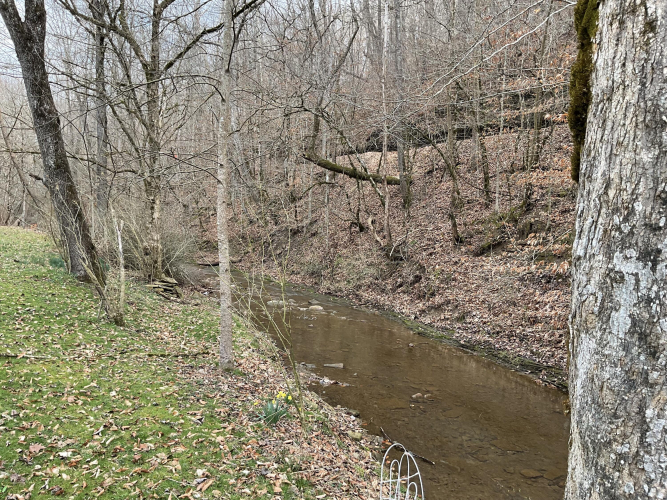 Listing Image 23