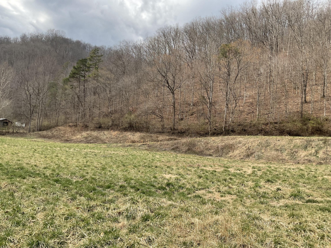 Listing Image 28