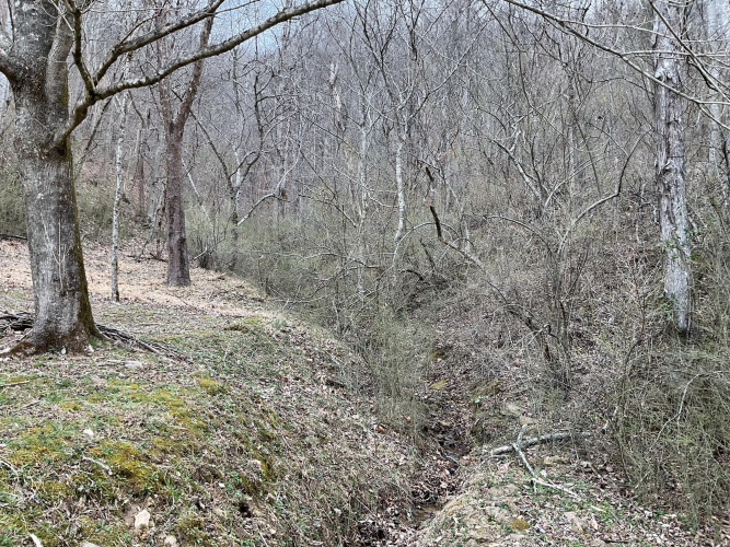 Listing Image 36