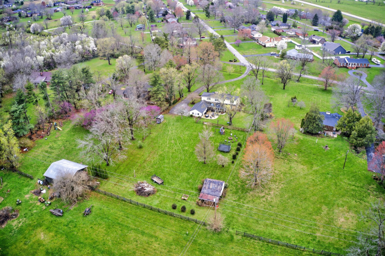 Listing Image 64