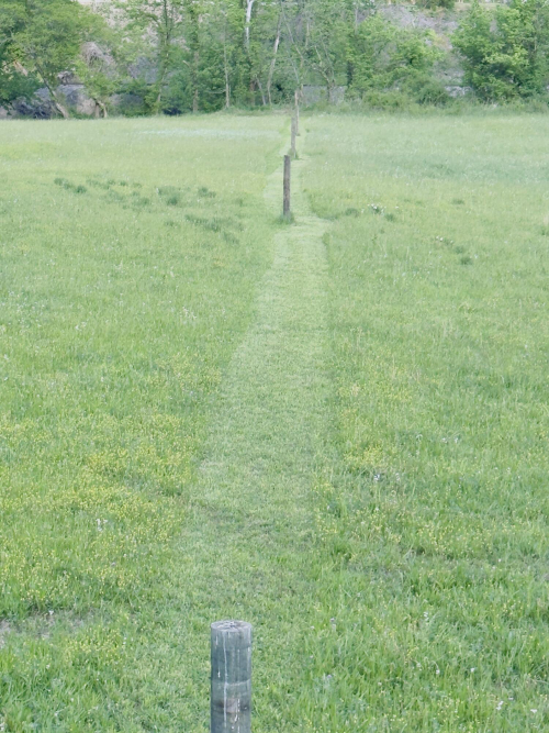 Listing Image 44