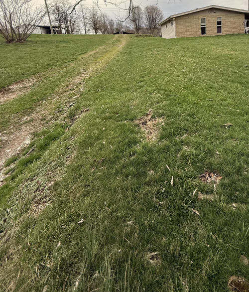 Listing Image 13