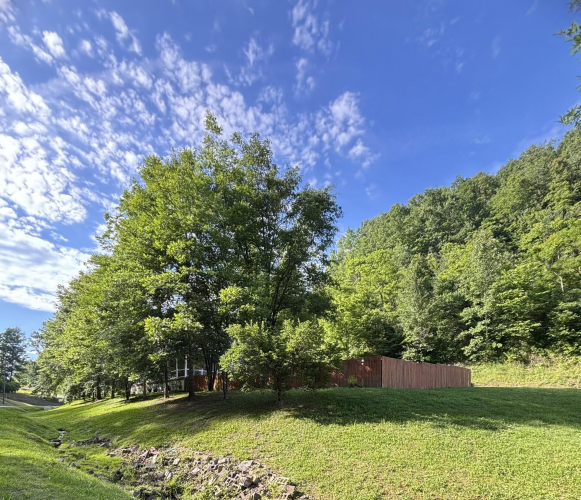 Listing Image 46