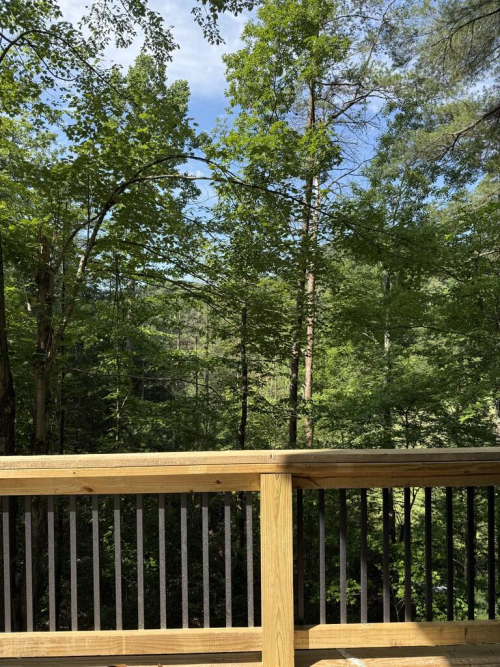 Listing Image 21