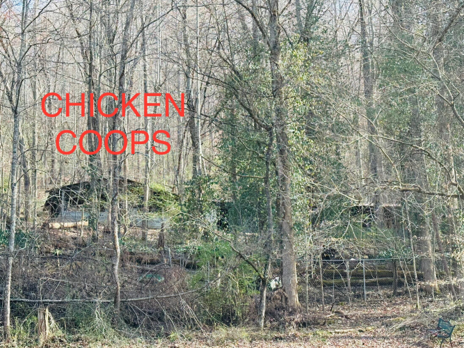 Listing Image 14
