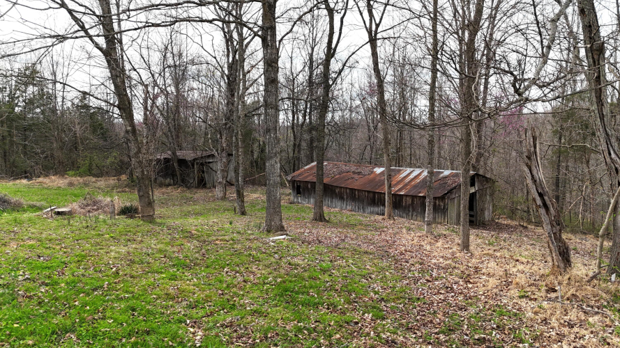 Listing Image 6
