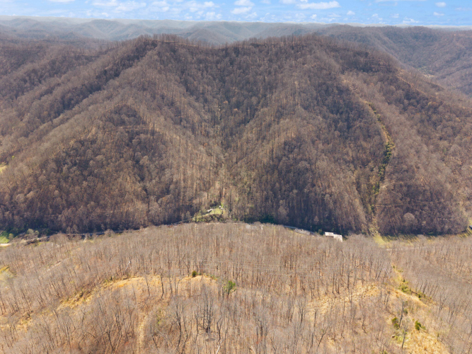 Listing Image 70
