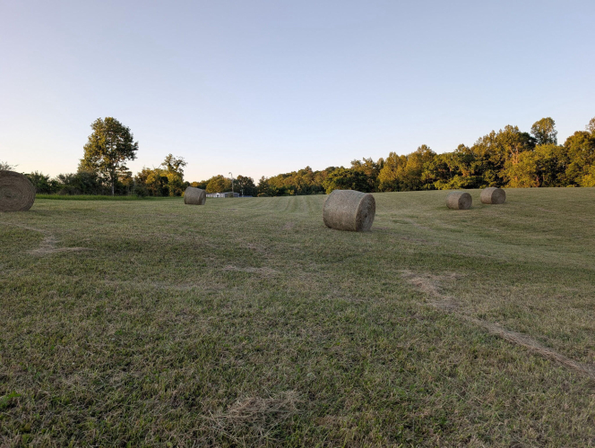 Listing Image 109