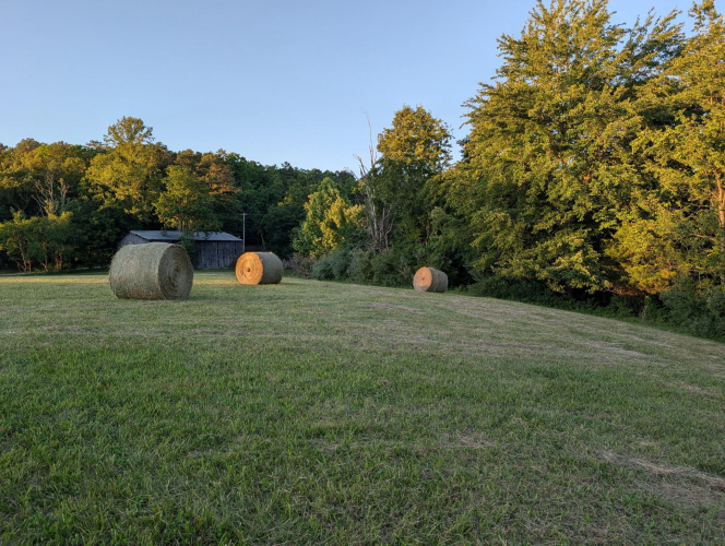 Listing Image 110