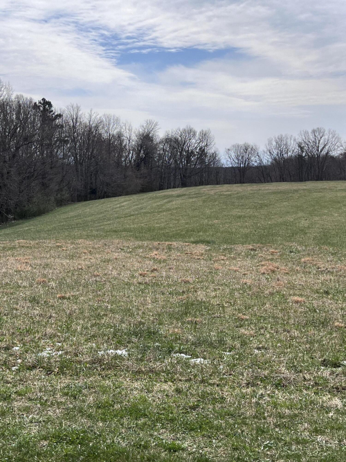 Listing Image 33