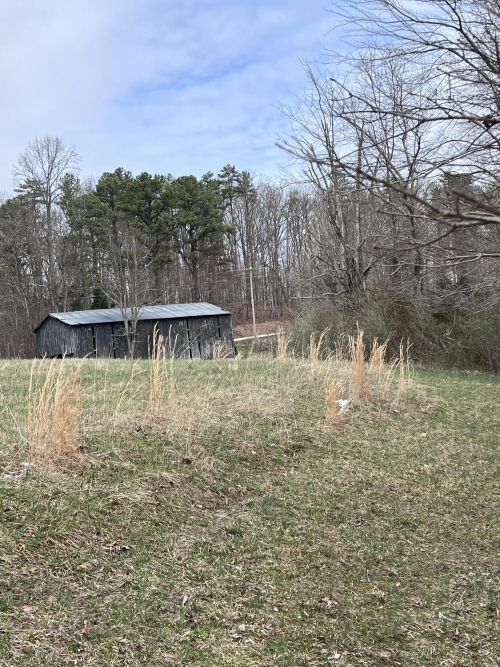 Listing Image 45
