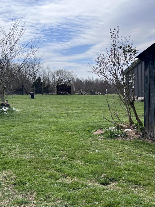 Listing Image 49