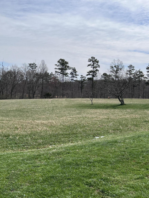Listing Image 54