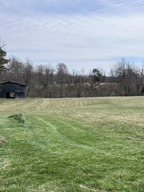 Listing Image 55