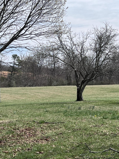 Listing Image 56