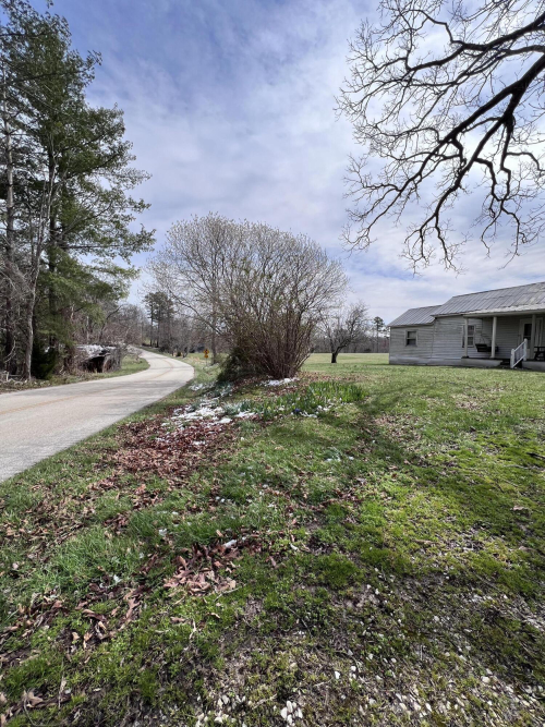Listing Image 57
