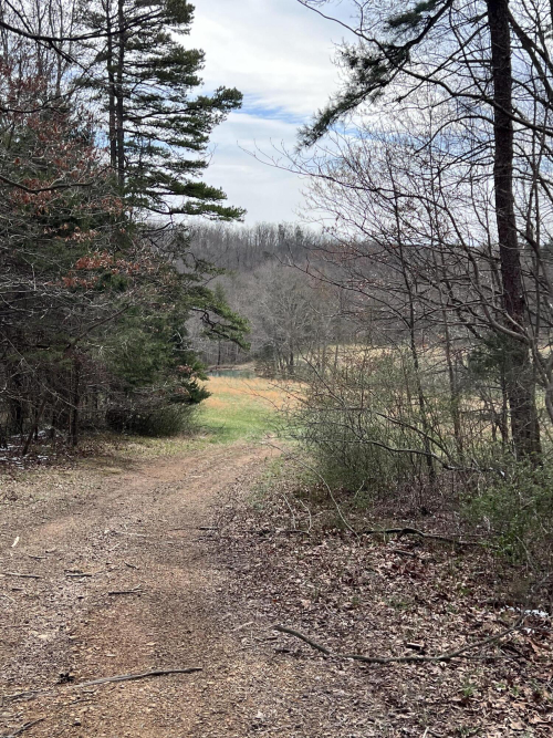 Listing Image 58